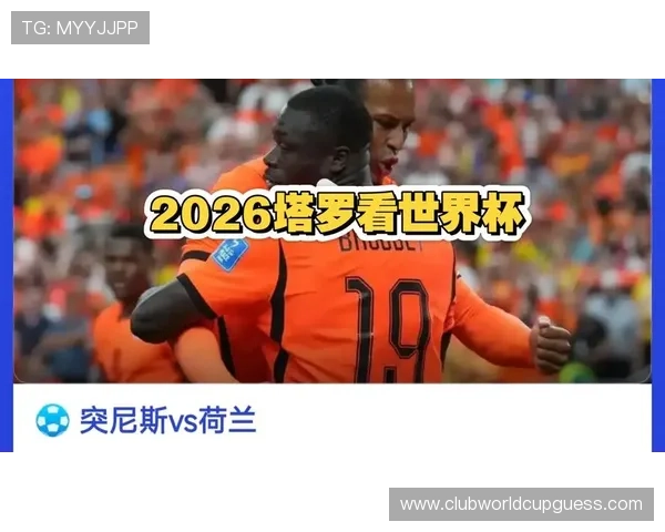 2026年国际足联世界杯突尼斯队与荷兰队的精彩对决全面分析与赛前展望